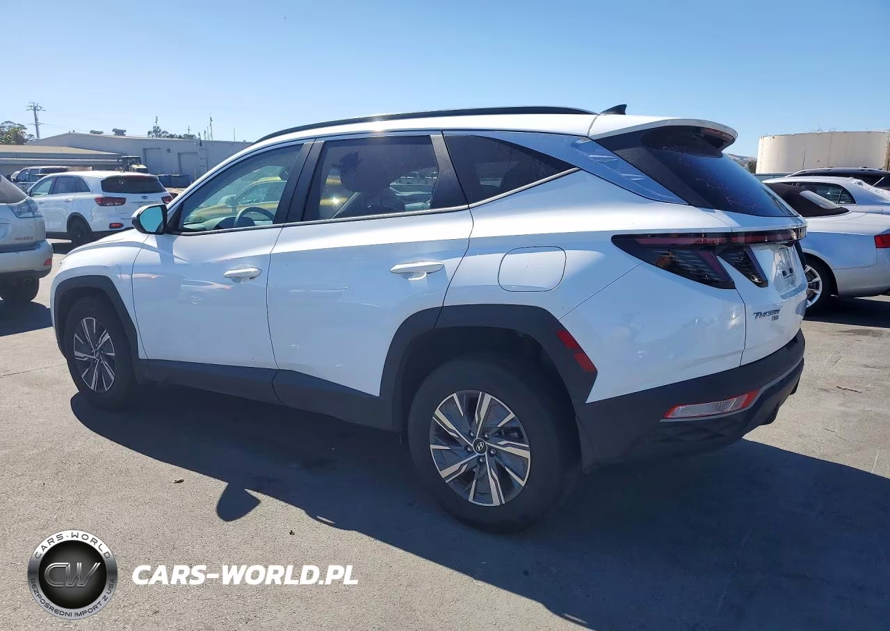 2023 Hyundai Tucson Blue VIN:KM8JBCA1XPU118918 - 2