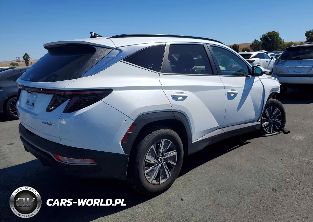 2023 Hyundai Tucson Blue VIN:KM8JBCA1XPU118918 - 3