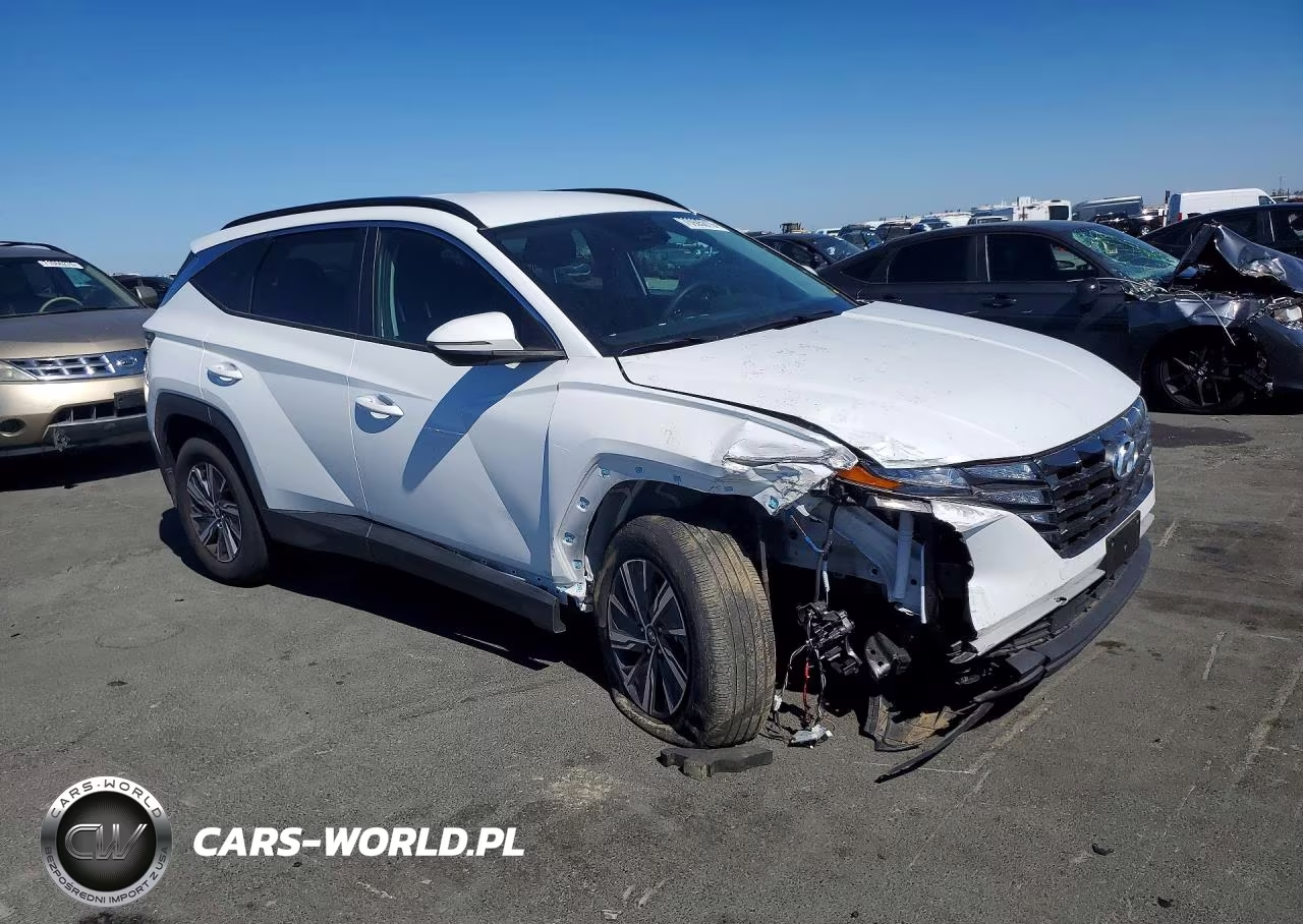 2023 Hyundai Tucson Blue VIN:KM8JBCA1XPU118918 - 4