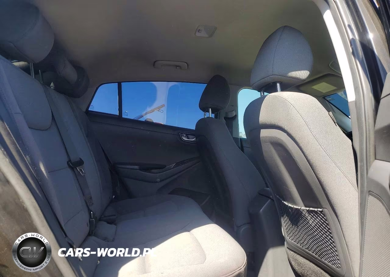 2020 Hyundai Ioniq Blue VIN:KMHC65LC6LU226311 - 10