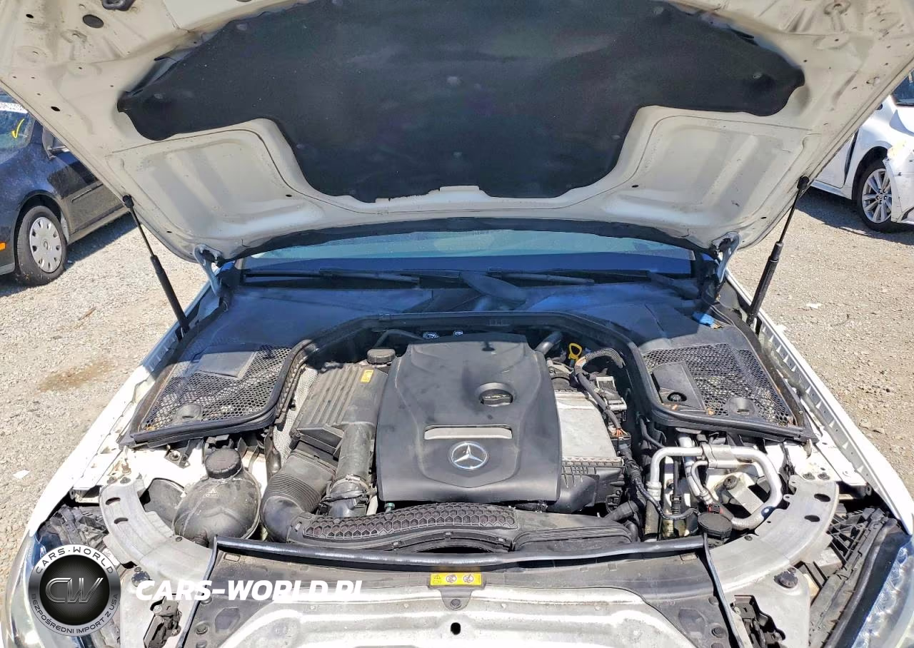 2017 Mercedes-Benz C 300 VIN:55SWF4JB1HU196526 - 11