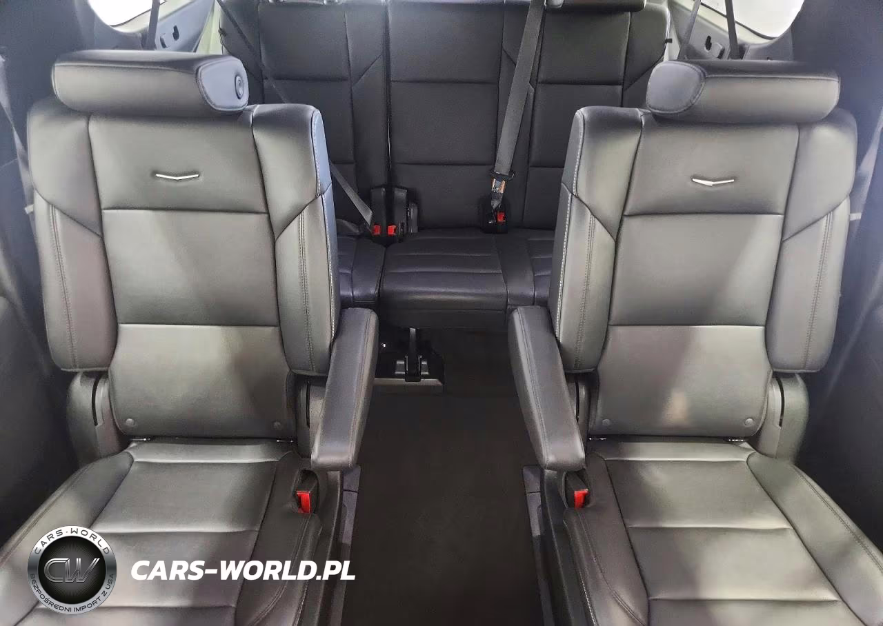 2023 Cadillac Escalade Esv Luxury VIN:1GYS3JKT0PR438630 - 10