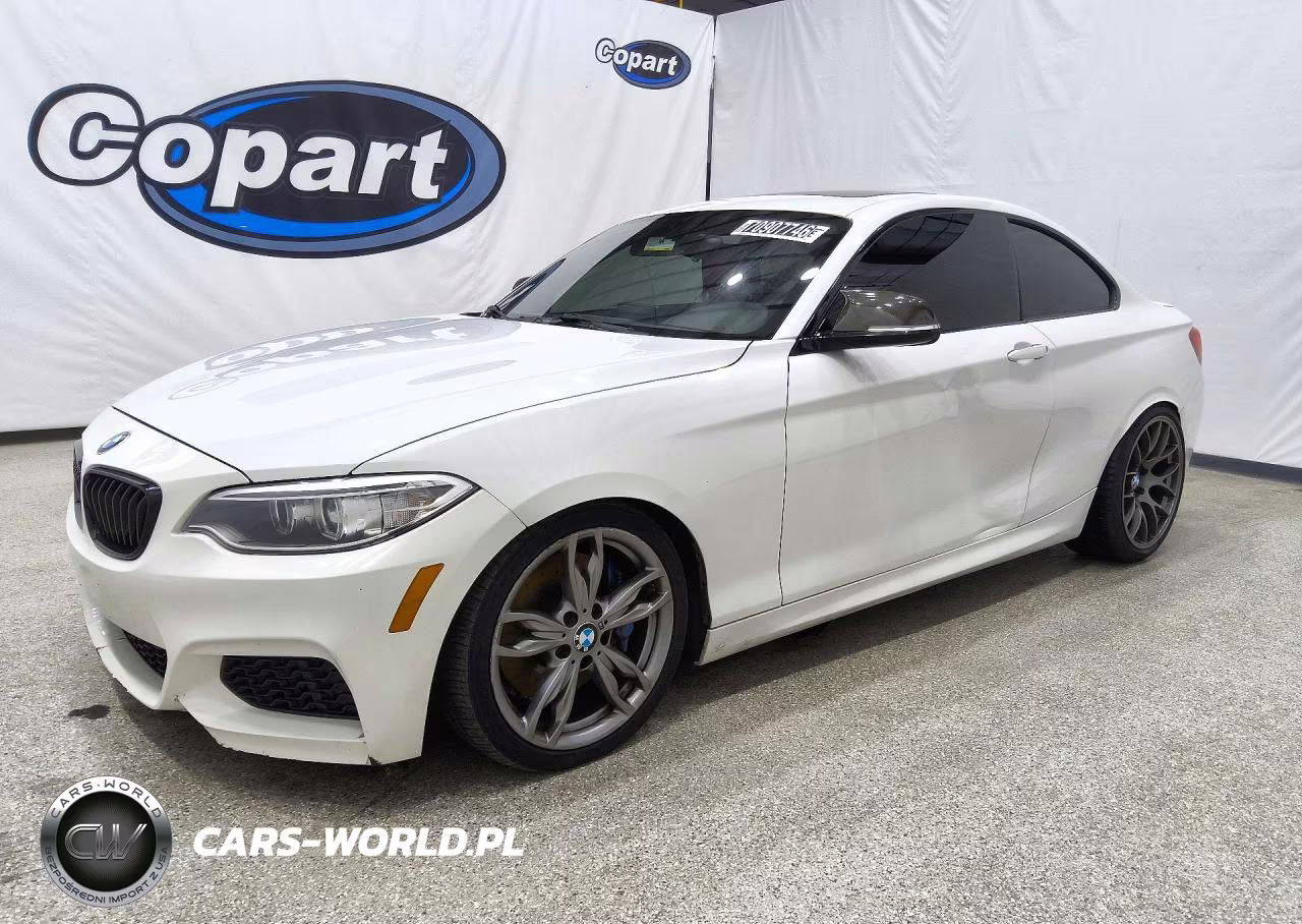 2015 BMW M235I VIN:WBA1J7C54FV253882 - 1