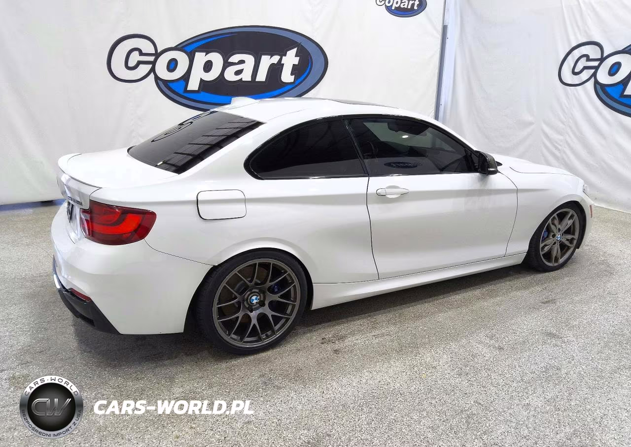 2015 BMW M235I VIN:WBA1J7C54FV253882 - 3