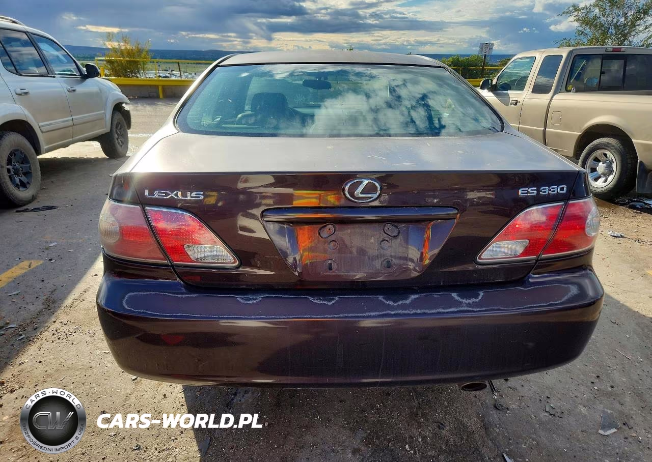2004 Lexus Es 330 VIN:JTHBA30G440016419 - 6