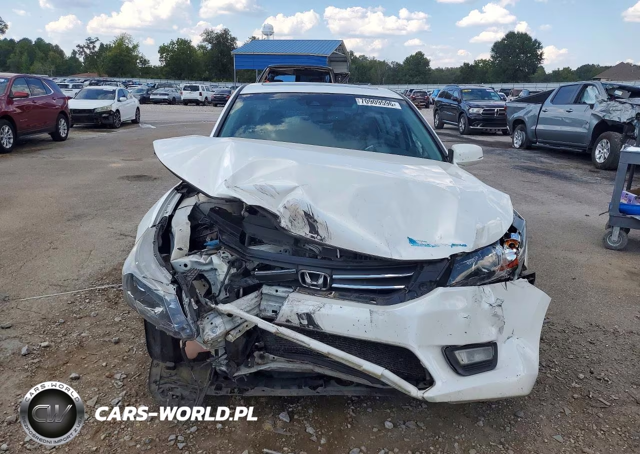 2013 Honda Accord Exl VIN:1HGCR2F89DA164604 - 5