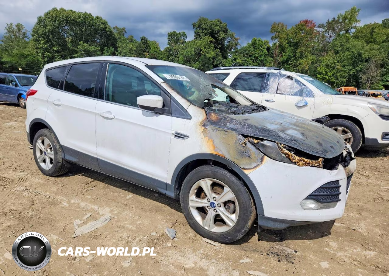 2013 Ford Escape Se VIN:1FMCU0GX1DUC38339 - 4