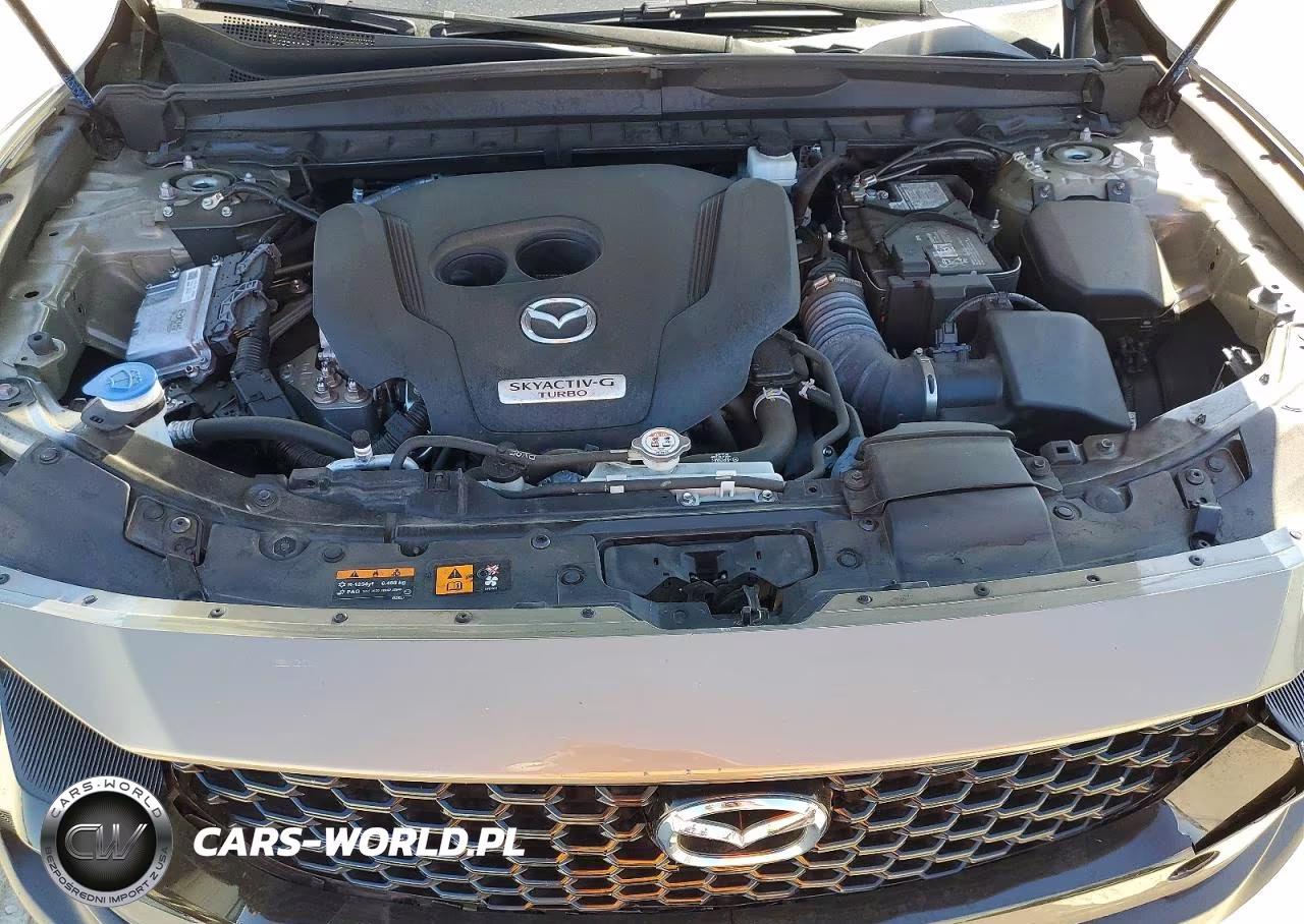 2024 Mazda Cx-50 Premium VIN:7MMVABDY0RN235092 - 12