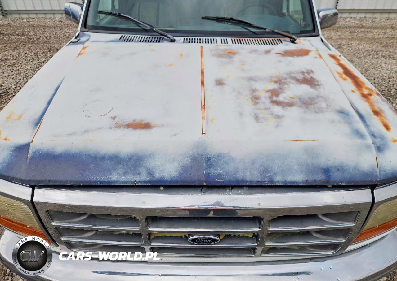 1996 Ford Bronco U100 VIN:1FMEU15H1TLA96685 - 11