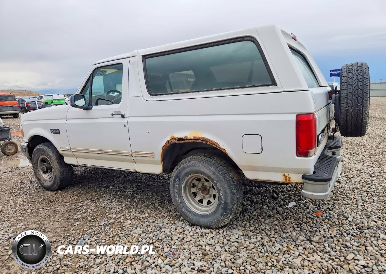 1996 Ford Bronco U100 VIN:1FMEU15H1TLA96685 - 2