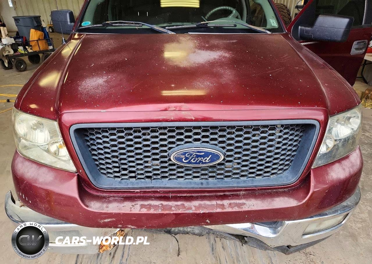 2005 Ford F150 Supercrew VIN:1FTPW12565FB52218 - 11
