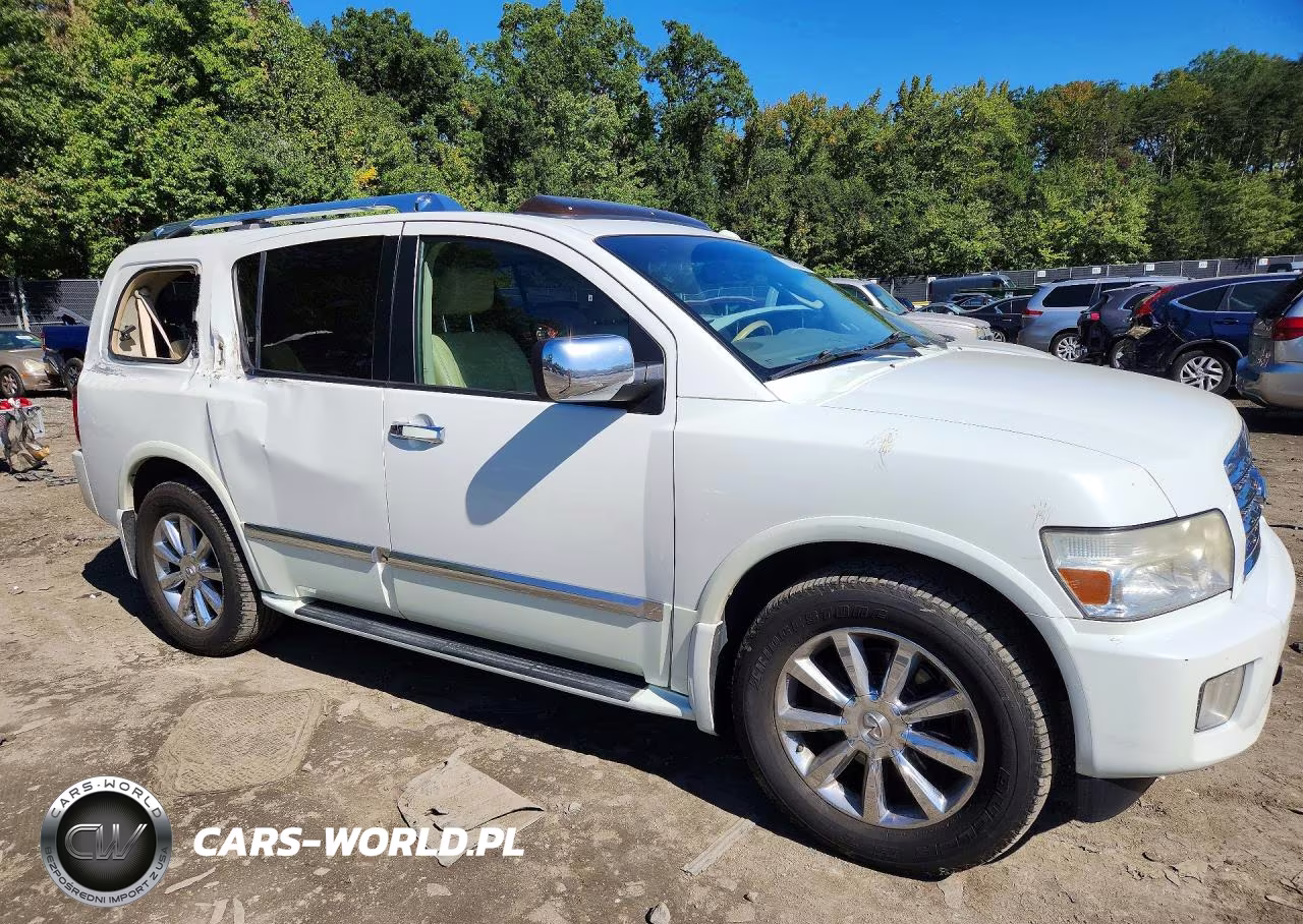 2010 Infiniti Qx56 Base VIN:5N3ZA0NDXAN902873 - 4