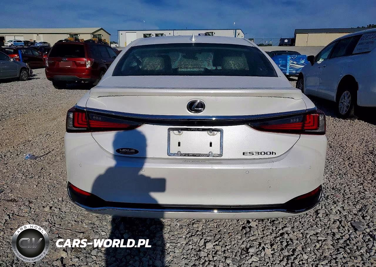 2025 Lexus Es 300H Base VIN:58ADA1C10SU062720 - 6