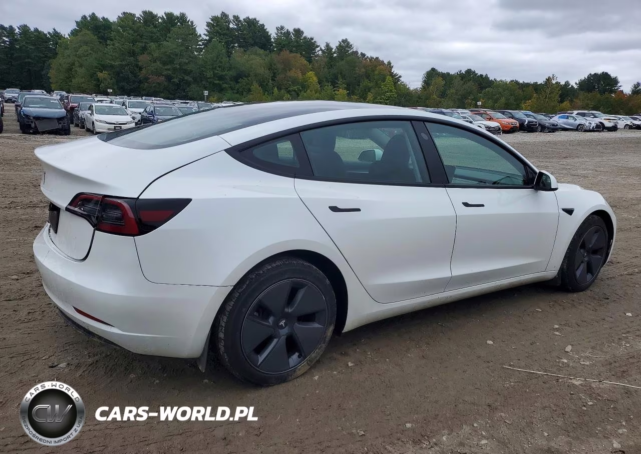 2023 Tesla Model 3 VIN:5YJ3E1EA4PF589488 - 3