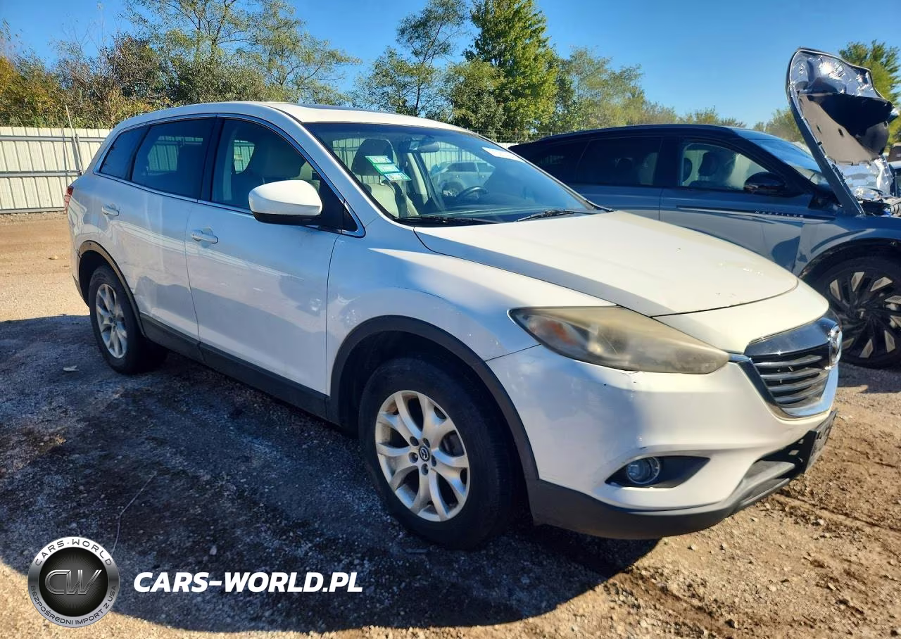 2013 Mazda Cx-9 Touring VIN:JM3TB3CV6D0419922 - 4