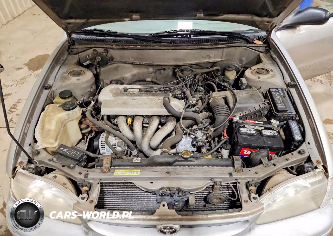 1999 Toyota Corolla Ve VIN:1NXBR12E8XZ183529 - 11
