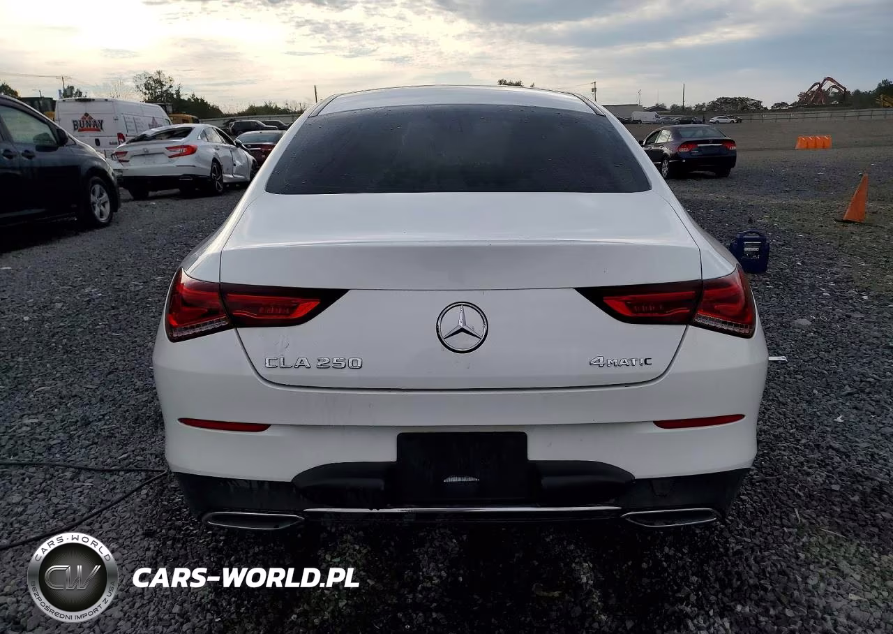 2020 Mercedes-Benz Cla 250 4Matic VIN:WDD5J4HB3LN030283 - 6