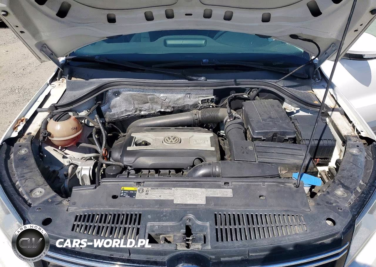 2013 Volkswagen Tiguan S VIN:WVGAV3AX0DW576883 - 12