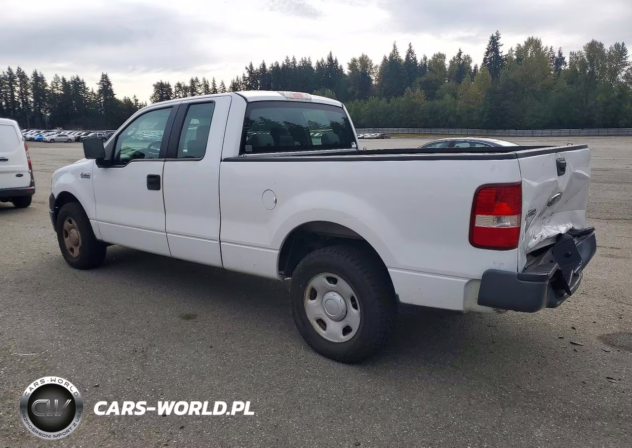2006 Ford F150 VIN:1FTRX12W06NB31516 - 2