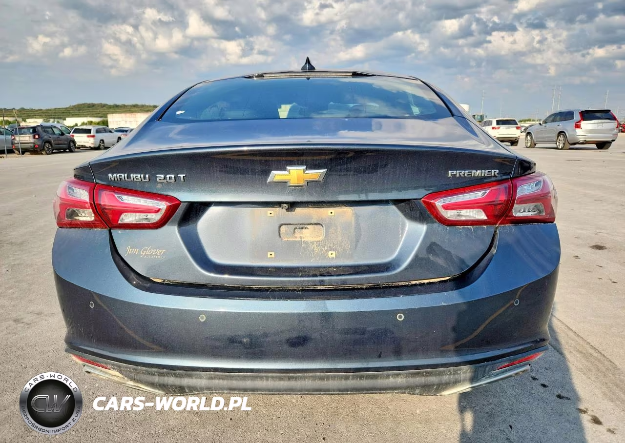 2019 Chevrolet Malibu Premier VIN:1G1ZE5SX6KF201314 - 6