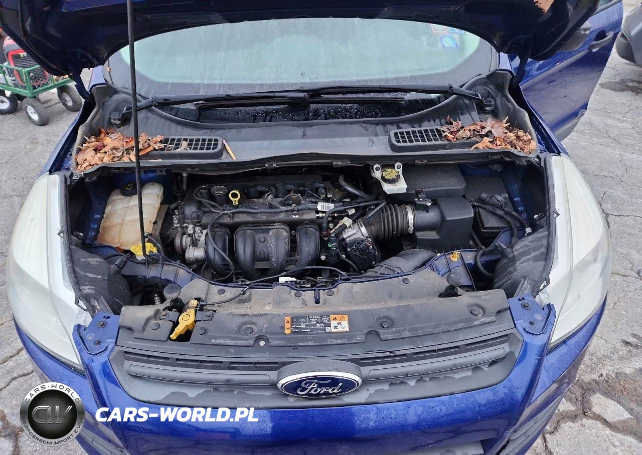 2014 Ford Escape S VIN:1FMCU0F74EUC90390 - 12