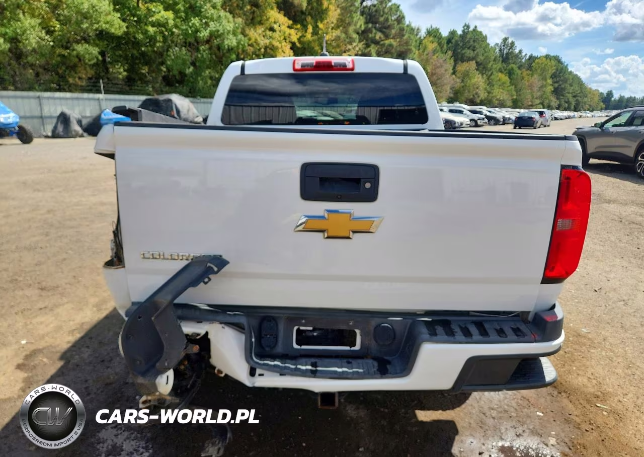 2015 Chevrolet Colorado Lt VIN:1GCGSBE39F1170206 - 6