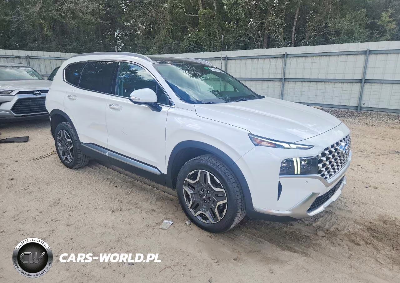 2022 Hyundai Santa Fe Limited VIN:KM8S5DA1XNU053115 - 4