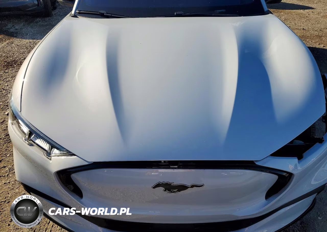 2023 Ford Mustang Mach-E Premium VIN:3FMTK3SUXPMA87224 - 11