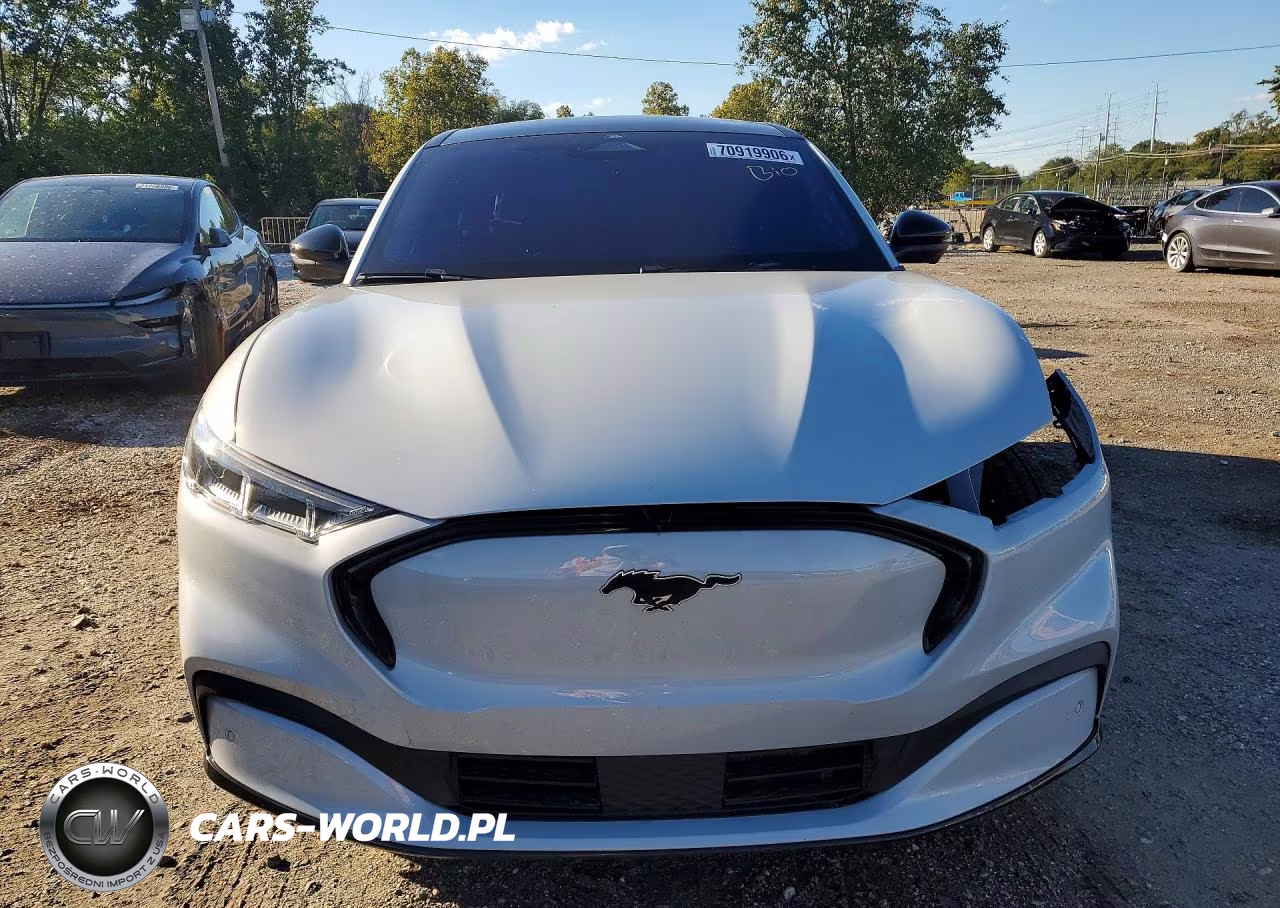 2023 Ford Mustang Mach-E Premium VIN:3FMTK3SUXPMA87224 - 5
