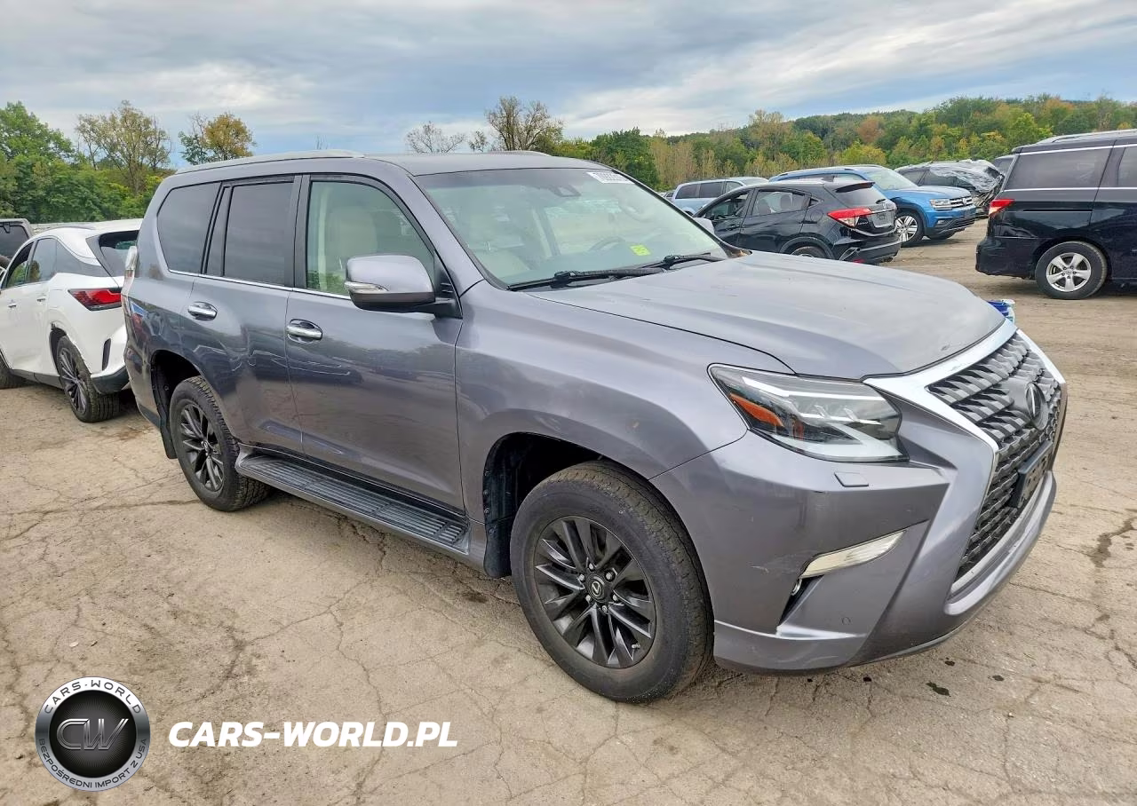 2020 Lexus Gx 460 Premium VIN:JTJAM7BX6L5262377 - 4