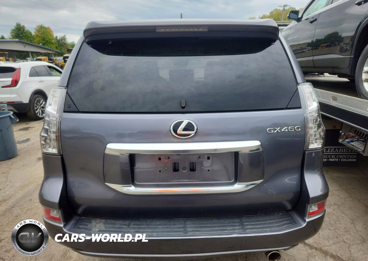 2020 Lexus Gx 460 Premium VIN:JTJAM7BX6L5262377 - 6