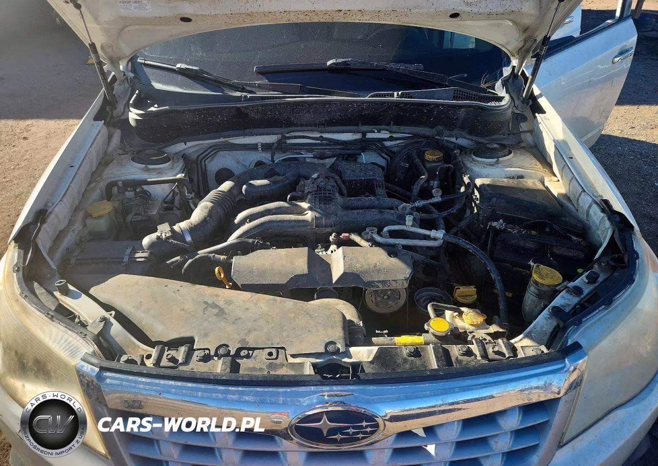 2013 Subaru Forester 2.5X Premium VIN:JF2SHADC8DH434817 - 11