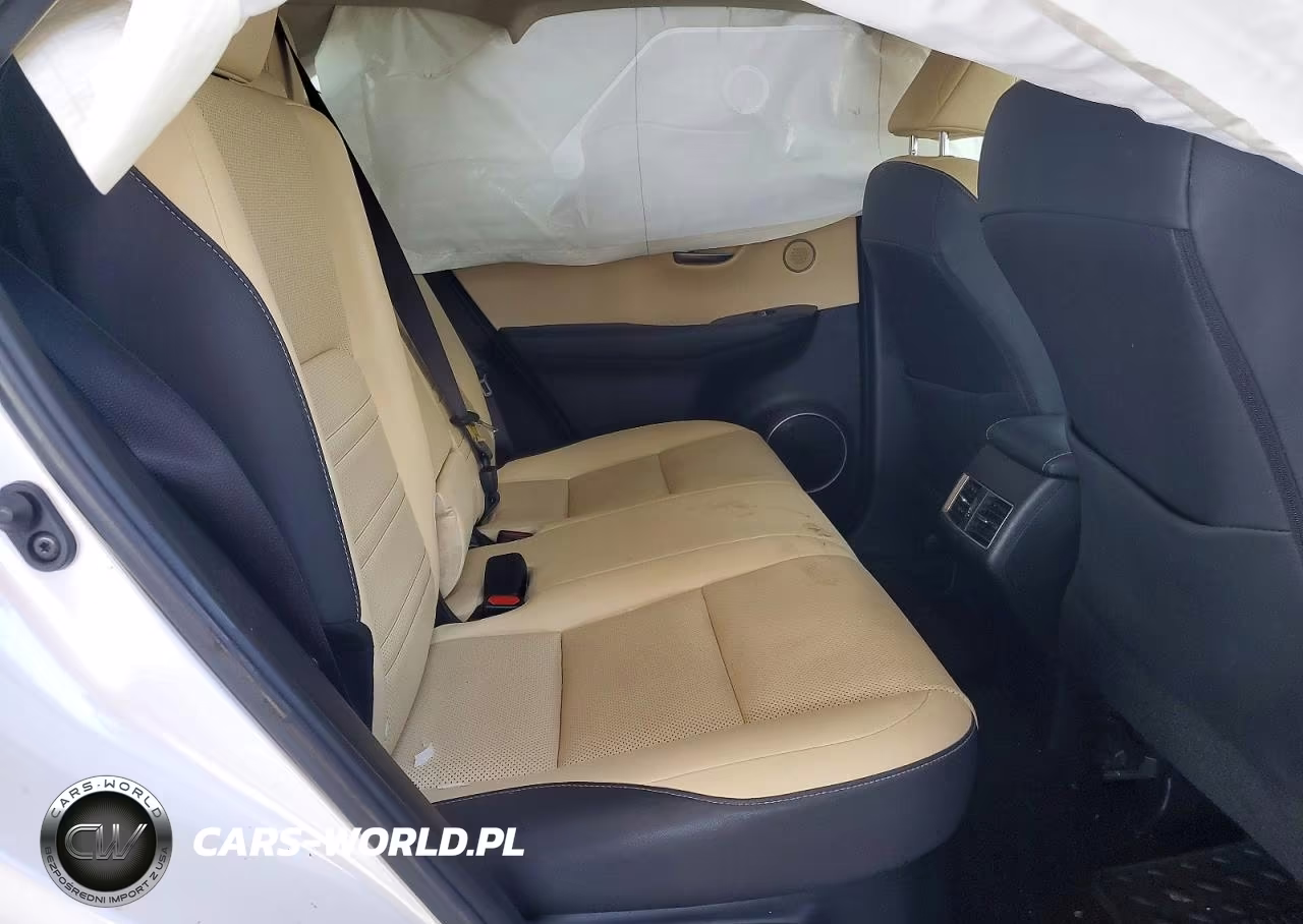 2018 Lexus Nx 300H VIN:JTJBJRBZ3J2080127 - 10