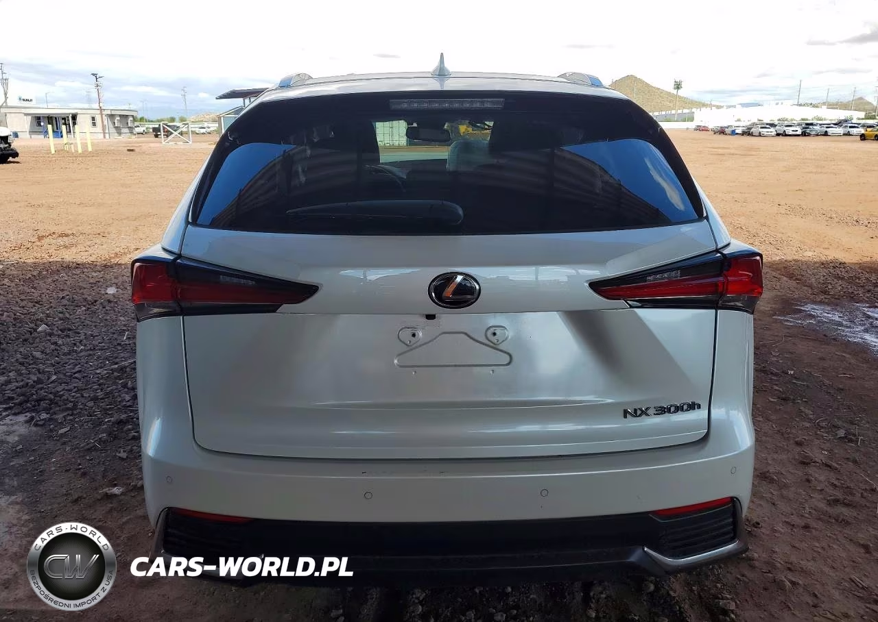 2018 Lexus Nx 300H VIN:JTJBJRBZ3J2080127 - 6