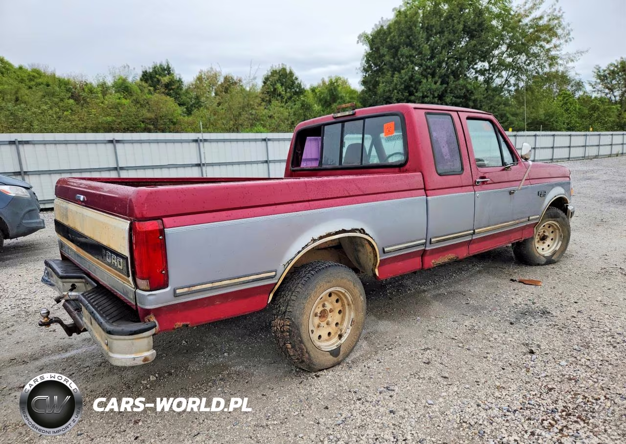 1995 Ford F150 VIN:1FTEX15N3SKB04761 - 3