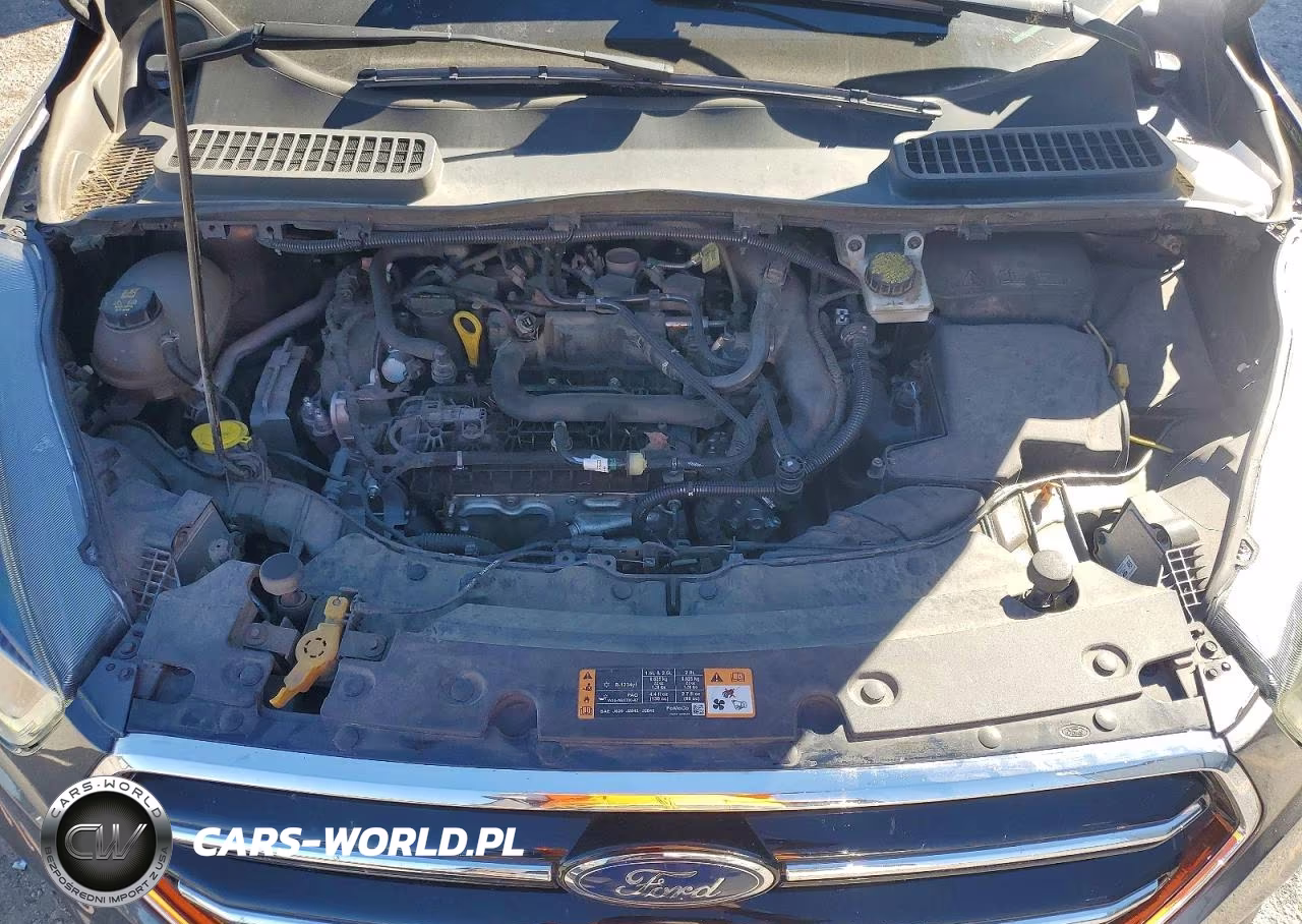 2019 Ford Escape Se VIN:1FMCU0GD7KUA72010 - 12