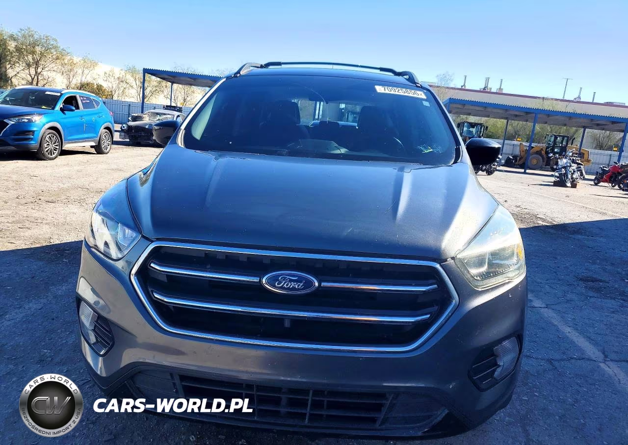 2019 Ford Escape Se VIN:1FMCU0GD7KUA72010 - 5