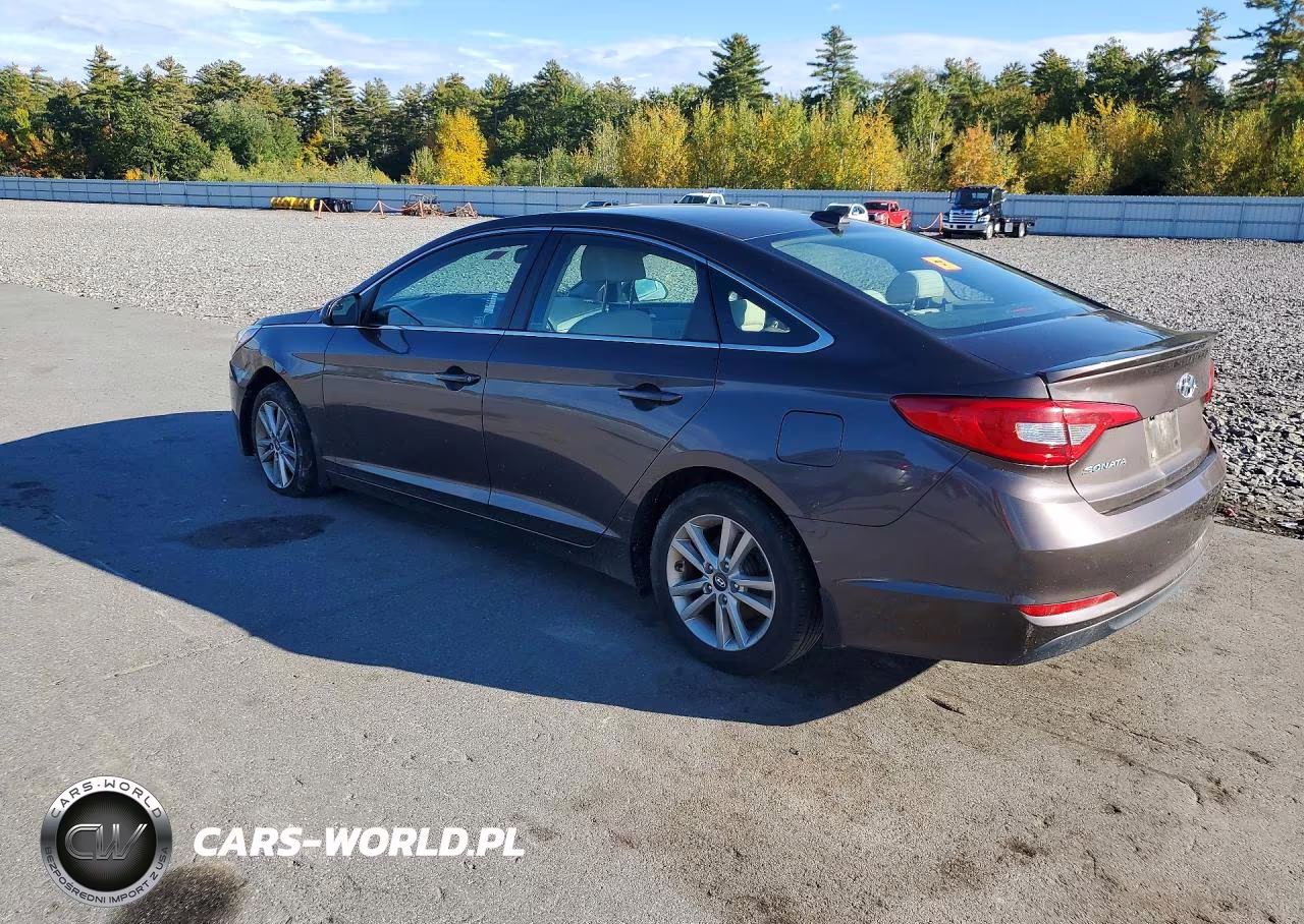 2016 Hyundai Sonata Se VIN:5NPE24AF3GH293478 - 2