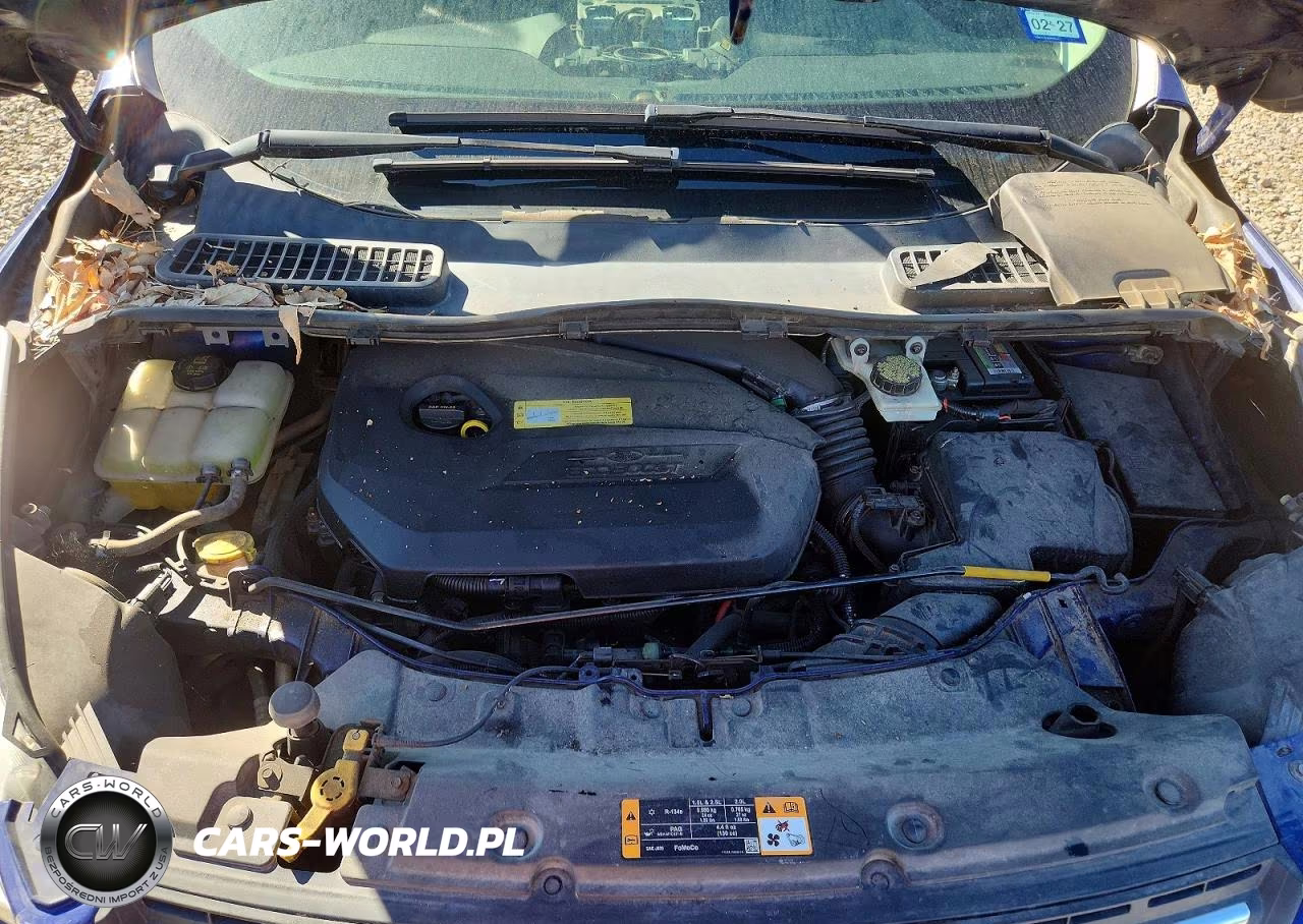 2013 Ford Escape Se VIN:1FMCU0GXXDUD37550 - 11