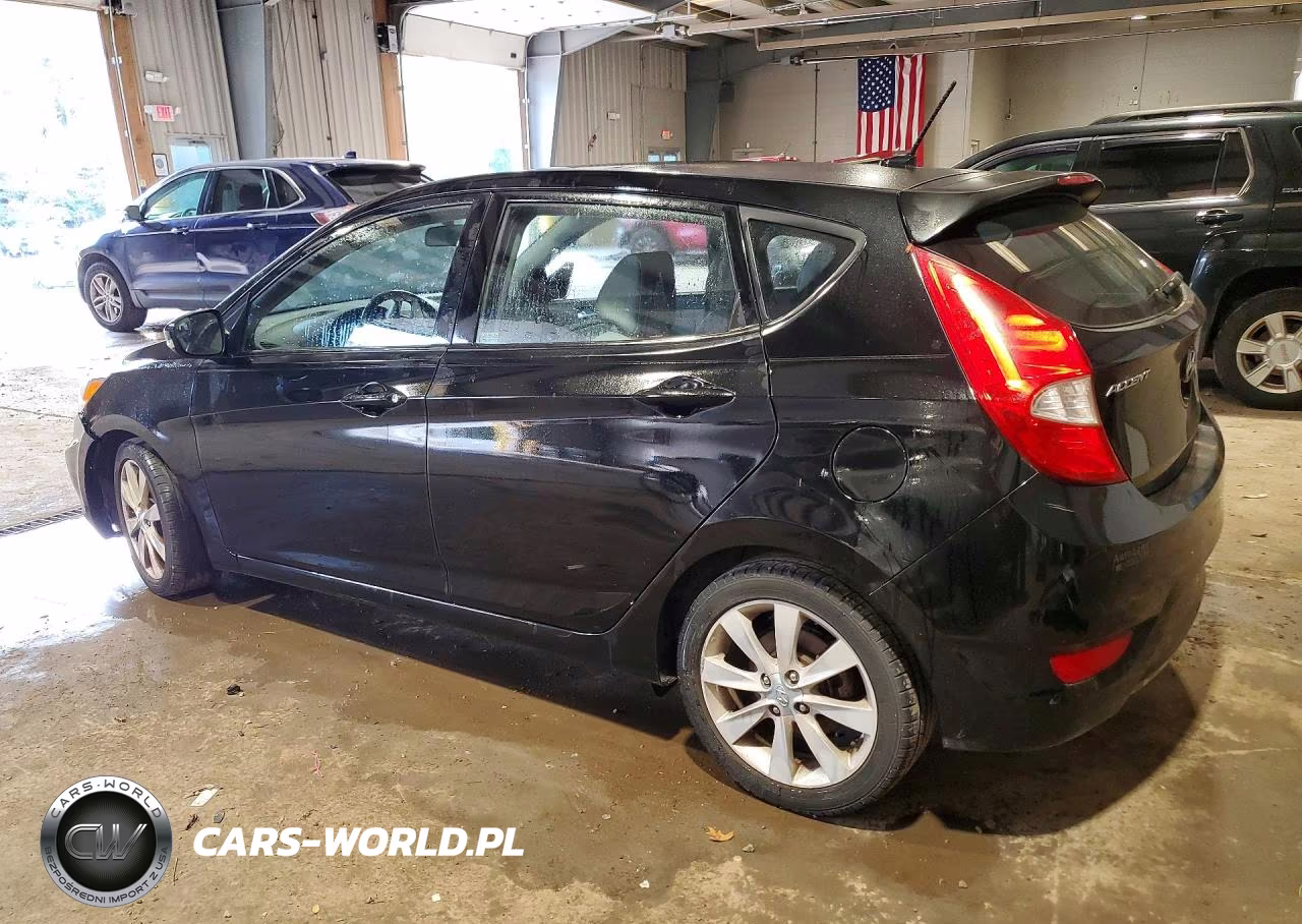 2014 Hyundai Accent Se VIN:KMHCU5AE9EU170135 - 2