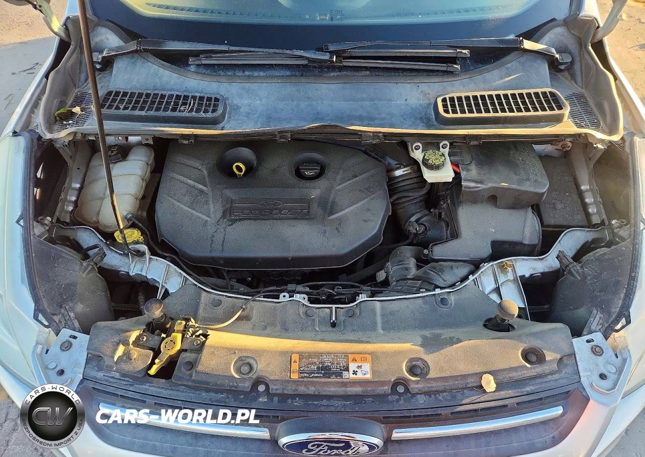 2014 Ford Escape Se VIN:1FMCU9G92EUC21668 - 12