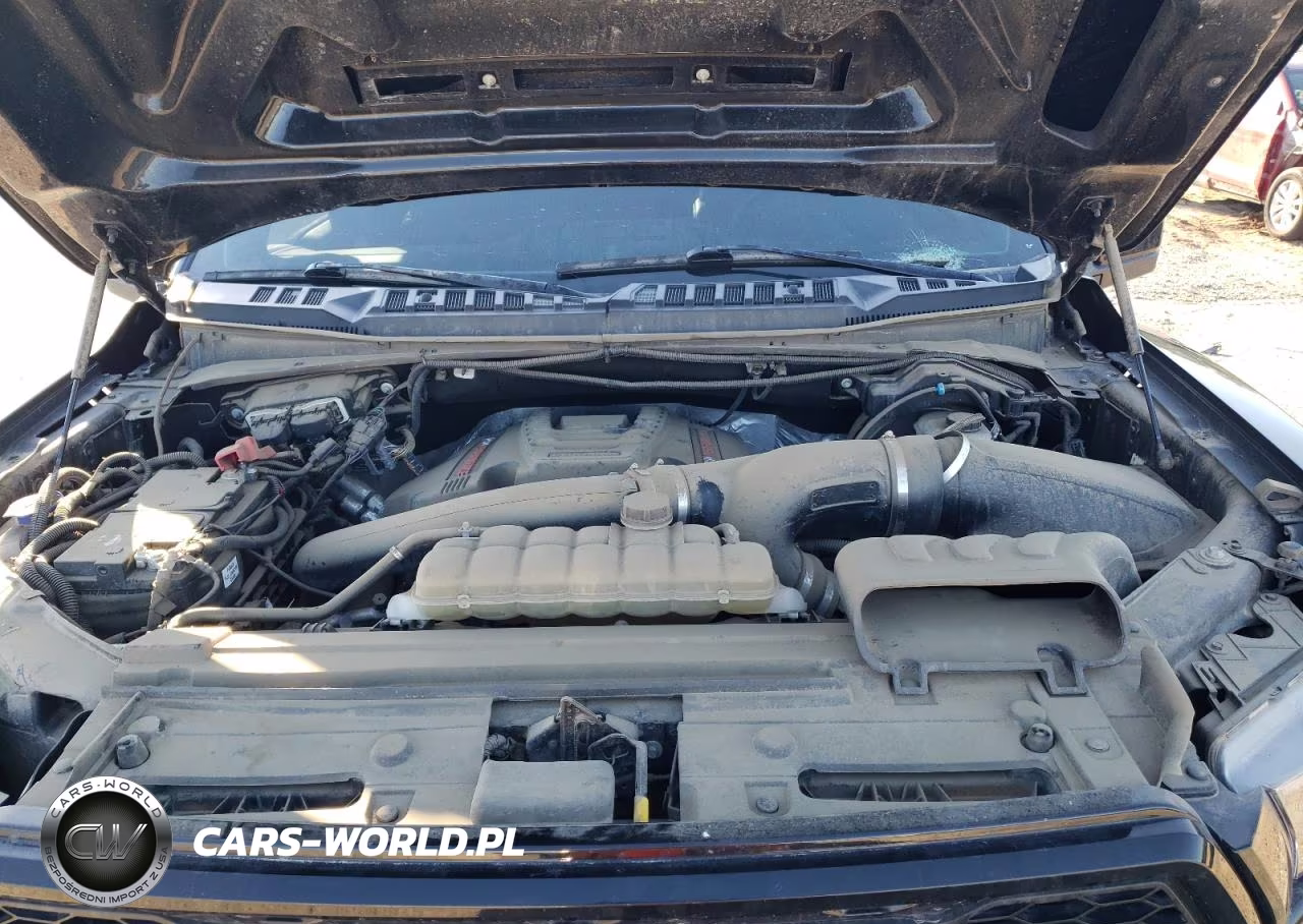 2019 Ford F150 Rapto VIN:0K1756364800 - 11