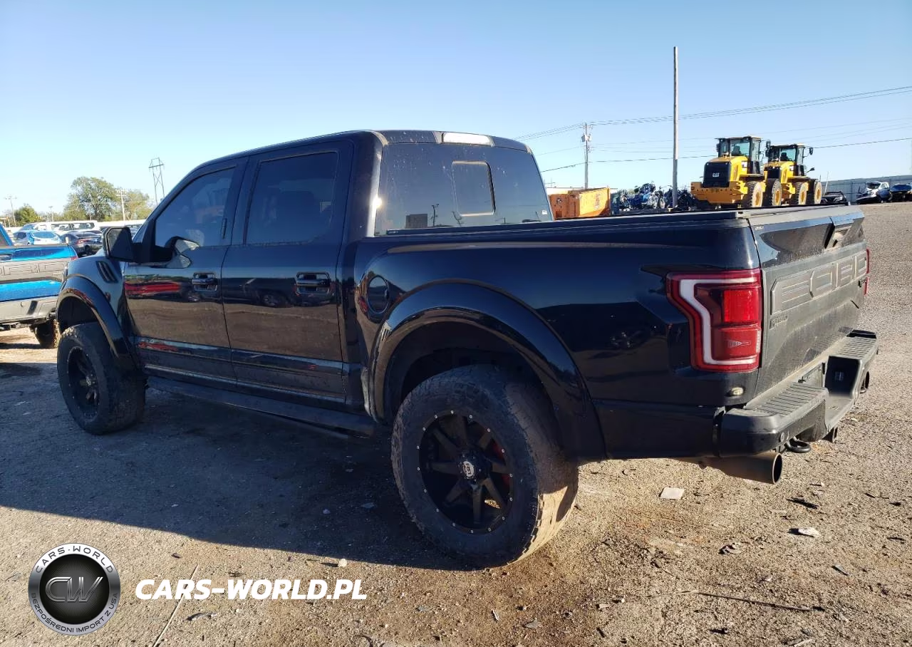 2019 Ford F150 Rapto VIN:0K1756364800 - 2