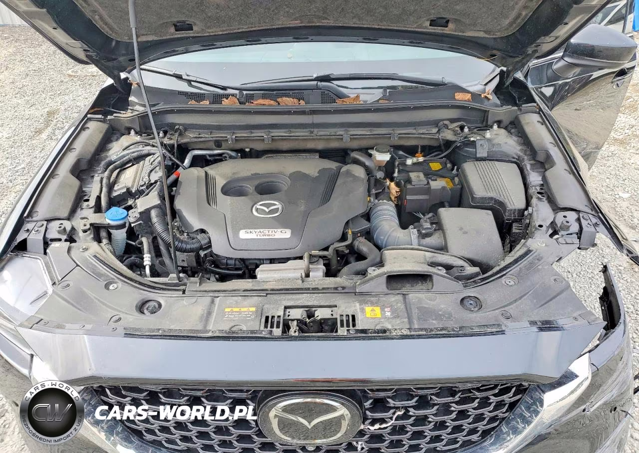 2022 Mazda Cx-5 Signature VIN:JM3KFBXY3N0646646 - 12