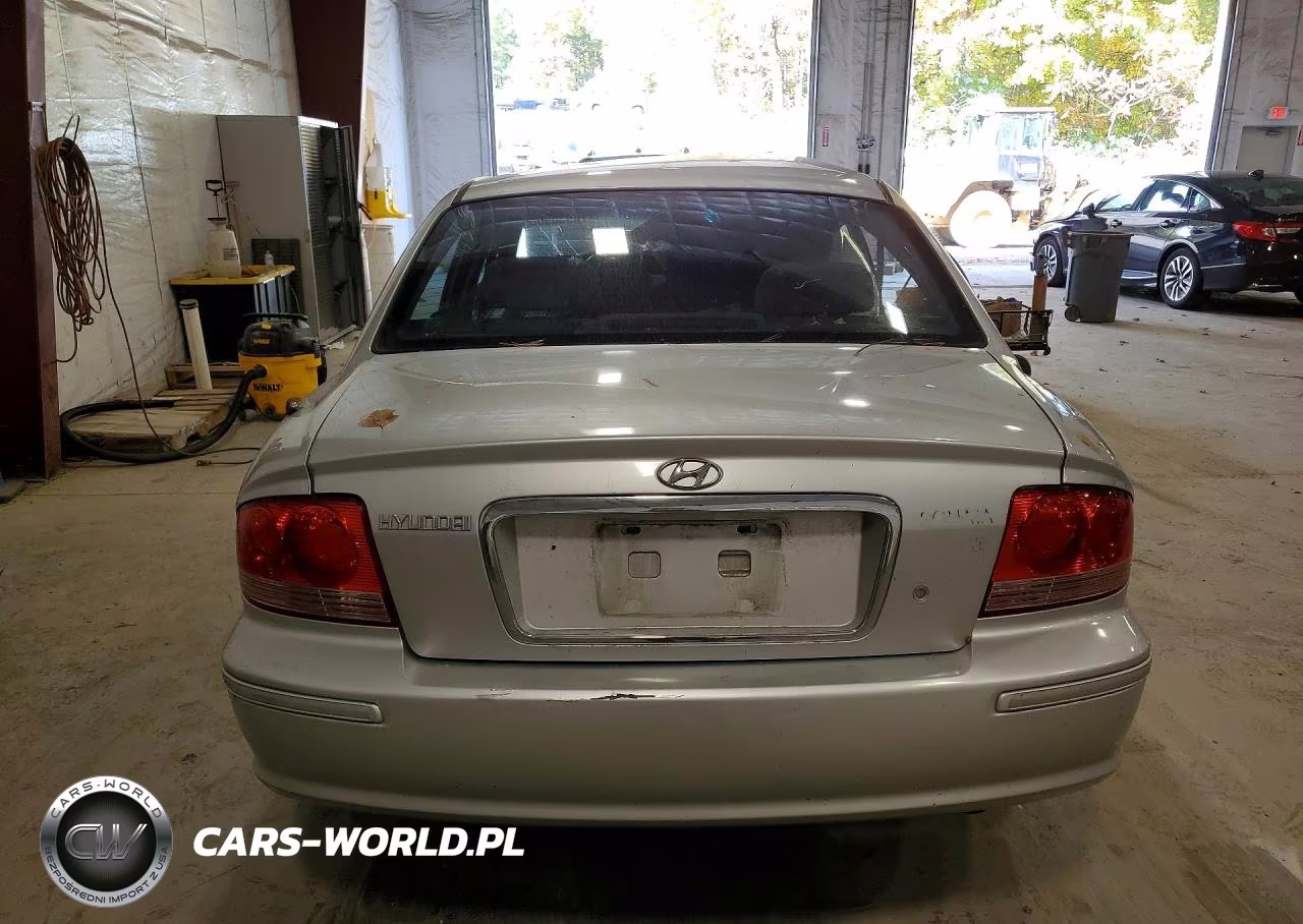 2005 Hyundai Sonata Gls VIN:KMHWF35H55A106062 - 6
