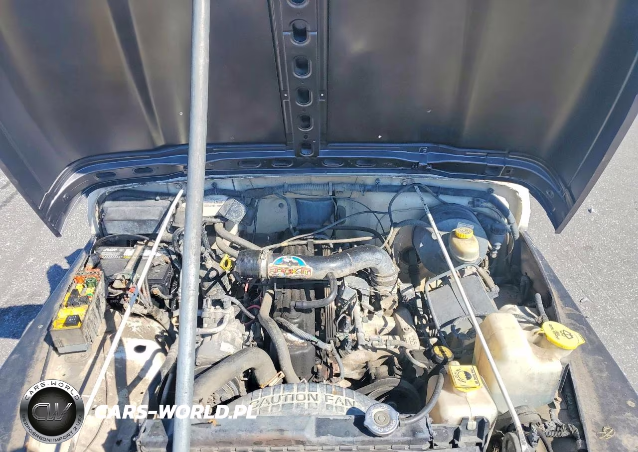 1997 Jeep Wrangler - Tj Sport VIN:1J4FY19S6VP509080 - 11