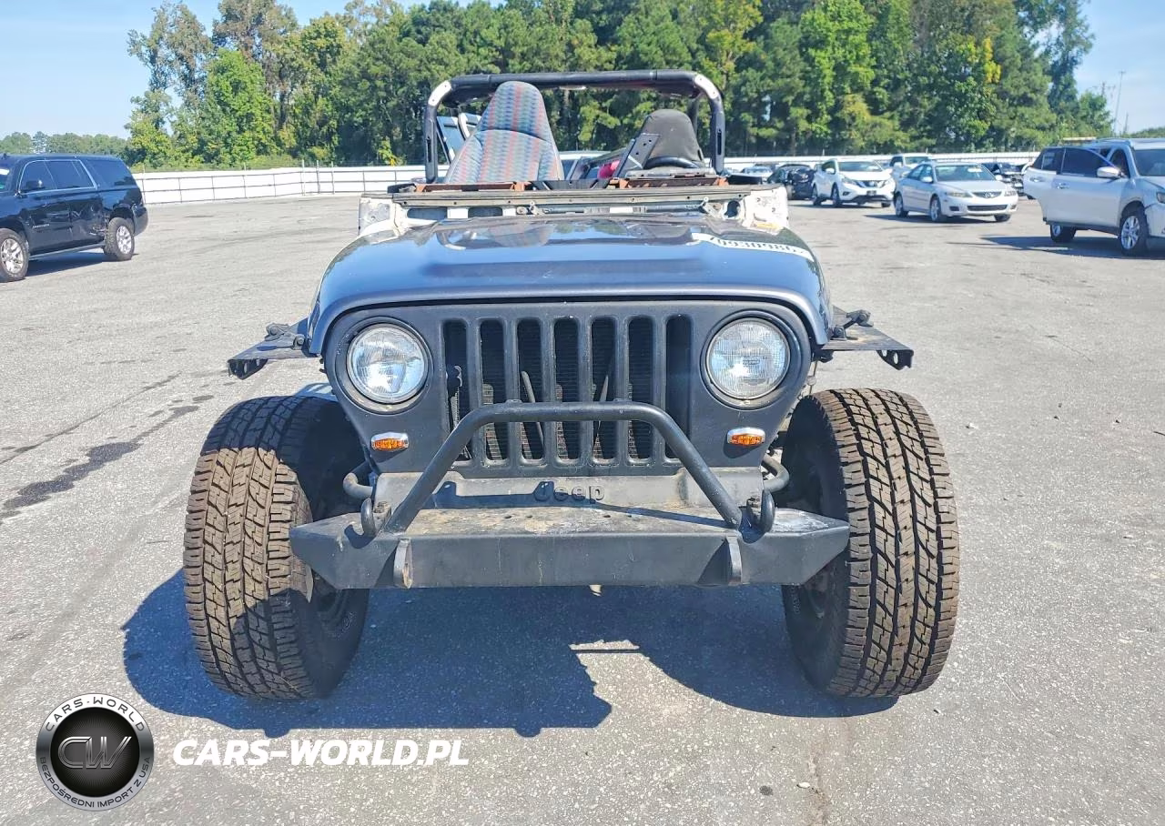 1997 Jeep Wrangler - Tj Sport VIN:1J4FY19S6VP509080 - 5
