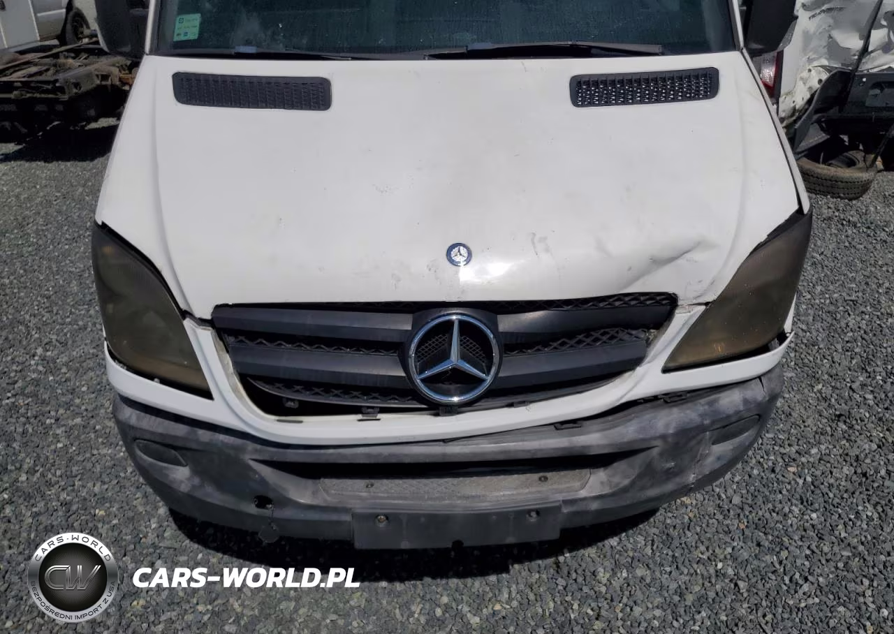 2010 Mercedes-Benz Sprinter 2500 VIN:WD3PE7CC5A5472210 - 12
