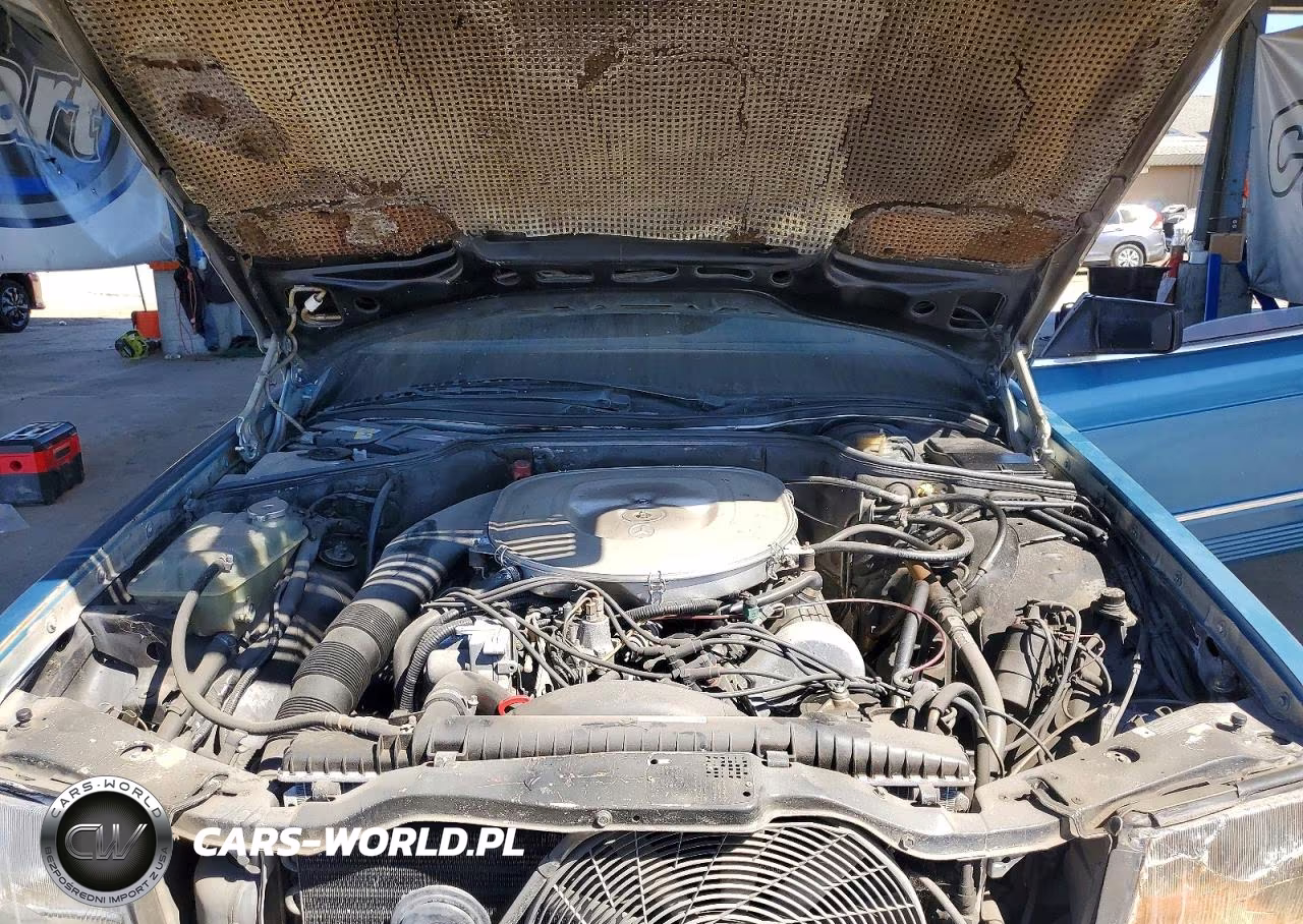 1982 Mercedes-Benz 380 Sec VIN:WDBCA43A5CB000752 - 11