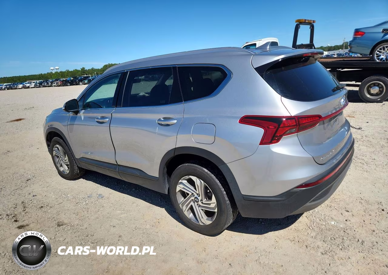 2023 Hyundai Santa Fe Sel VIN:5NMS2DAJ3PH538929 - 2
